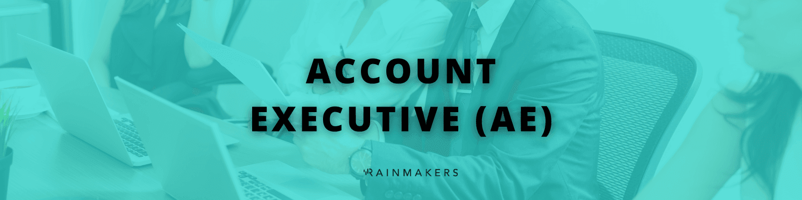 Account Executive Career Information