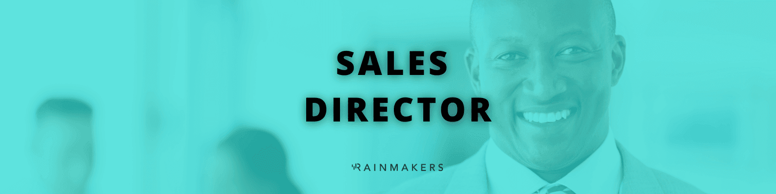 Sales Director Job Information
