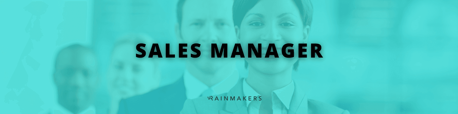 Sales Manager Job Description
